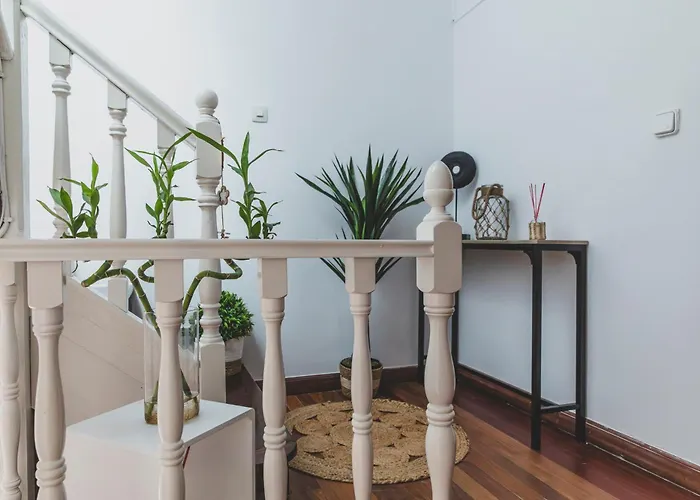 Viares 2 * 苏安塞斯