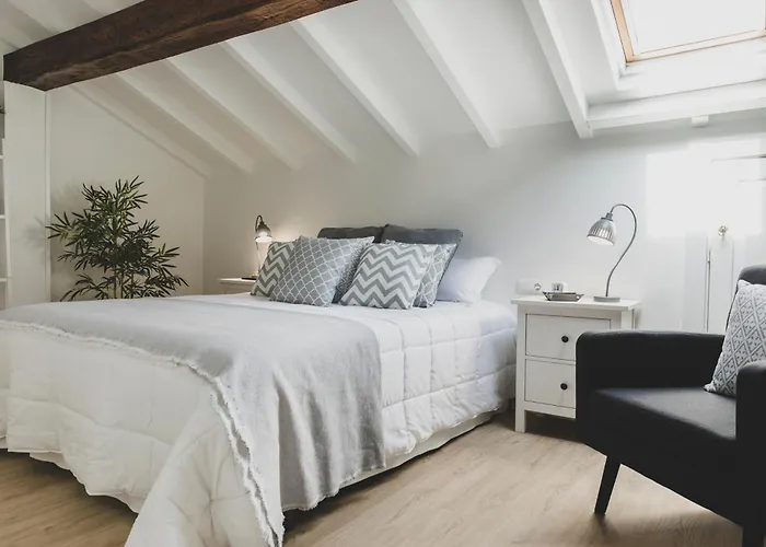 公寓 Viares 2 苏安塞斯